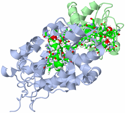 Image NMR Structure - model 1, sites