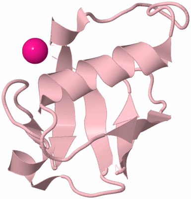 Image Biological Unit 3