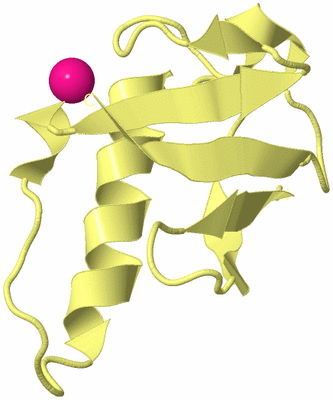 Image Biological Unit 4