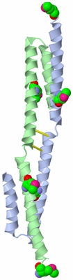 Image Asymmetric Unit