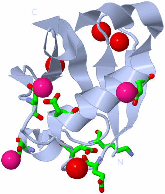 Image Biol. Unit 1 - sites