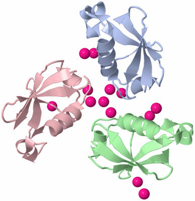 Image Biological Unit 4