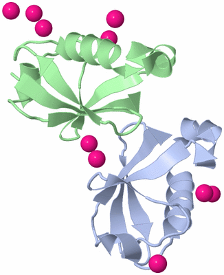 Image Biological Unit 5