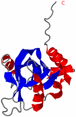 Image NMR Structure - model 1