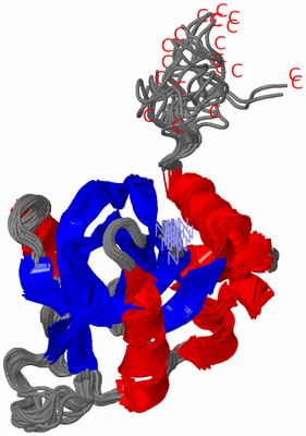 Image NMR Structure - all models