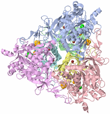 Image Asym./Biol. Unit