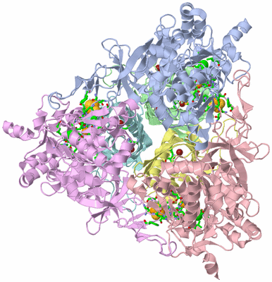 Image Asym./Biol. Unit - sites