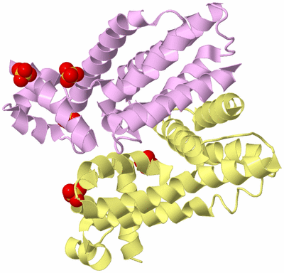 Image Biological Unit 2