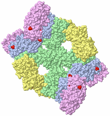 Image Biological Unit 3