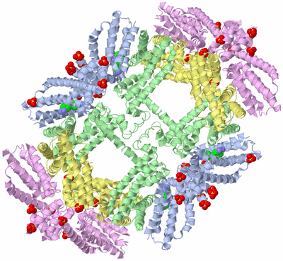 Image Biological Unit 4