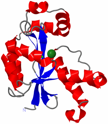 Image Asym. Unit - sites