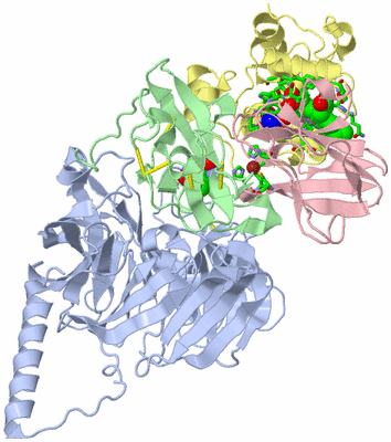 Image Biol. Unit 1 - sites