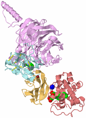 Image Biological Unit 2