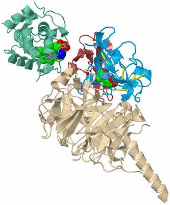 Image Biological Unit 3