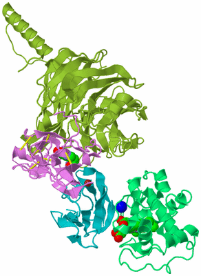 Image Biological Unit 4