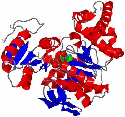 Image Asym./Biol. Unit