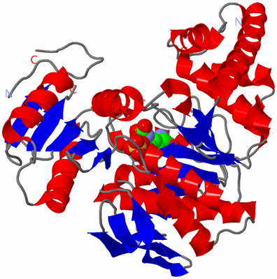 Image Asym./Biol. Unit