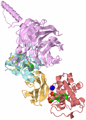 Image Biological Unit 2