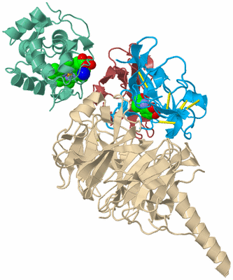 Image Biological Unit 3