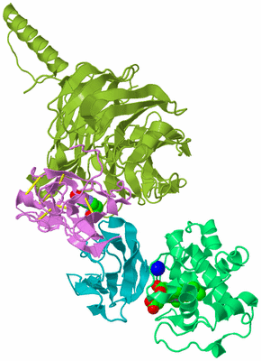 Image Biological Unit 4