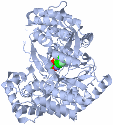 Image Biological Unit 1