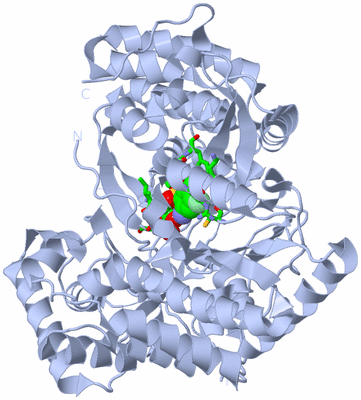 Image Biol. Unit 1 - sites