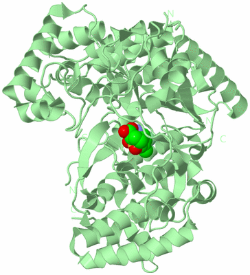 Image Biological Unit 2