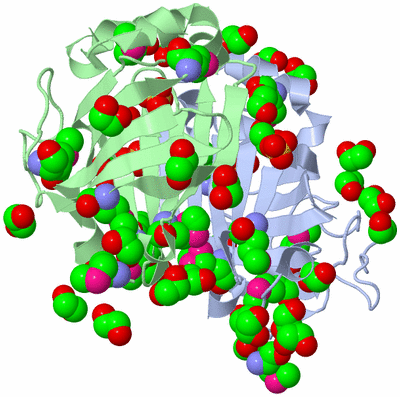 Image Asym./Biol. Unit