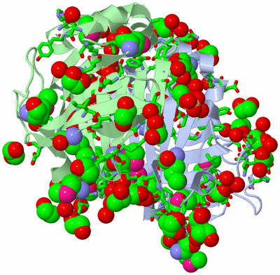 Image Asym./Biol. Unit - sites