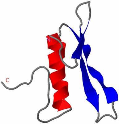 Image NMR Structure - model 1