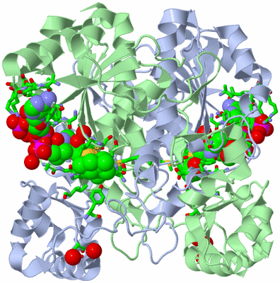 Image Biol. Unit 1 - sites