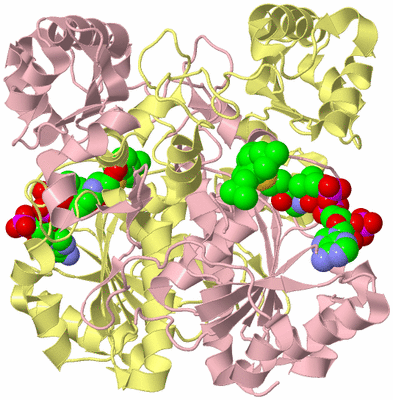 Image Biological Unit 2