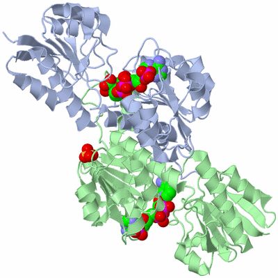 Image Biological Unit 1