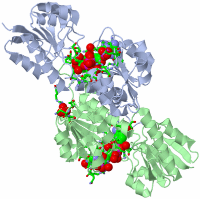 Image Biol. Unit 1 - sites