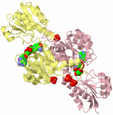 Image Biological Unit 2