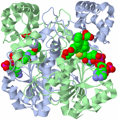 Image Biological Unit 1