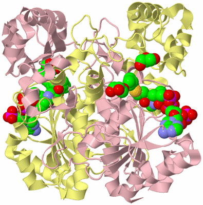 Image Biological Unit 2