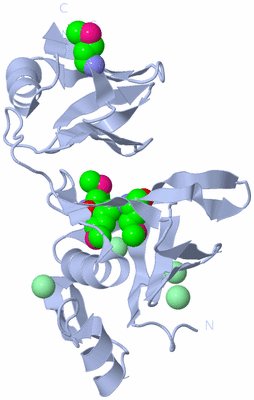 Image Biological Unit 1