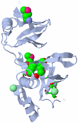 Image Biol. Unit 1 - sites