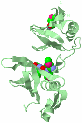 Image Biological Unit 2