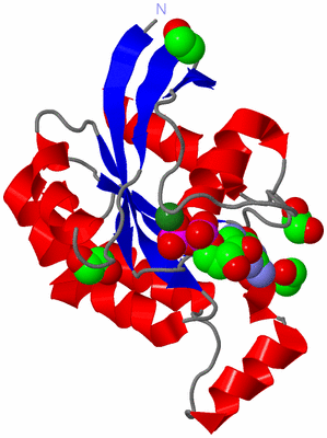 Image Asym./Biol. Unit