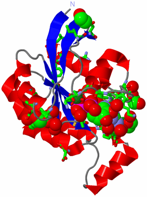 Image Asym./Biol. Unit - sites