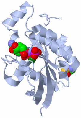 Image Biological Unit 1