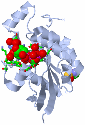 Image Biol. Unit 1 - sites