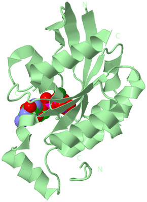 Image Biological Unit 2