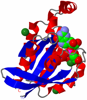 Image Asym./Biol. Unit