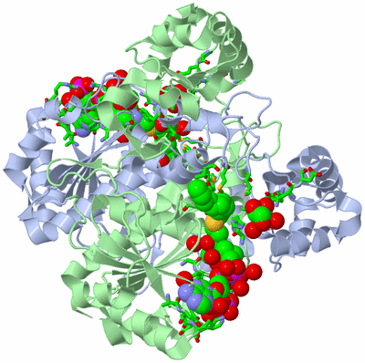 Image Biol. Unit 1 - sites