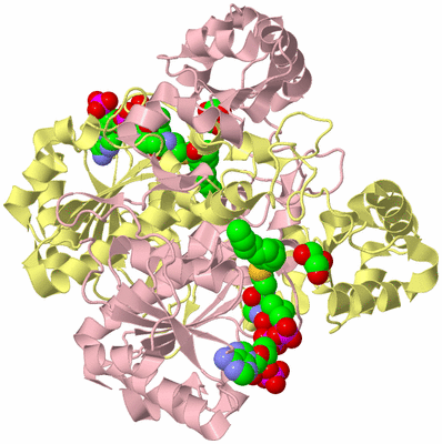 Image Biological Unit 2