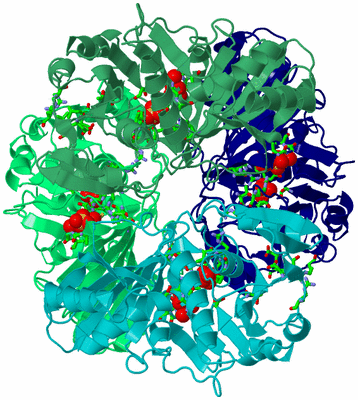 Image Asym./Biol. Unit - sites