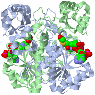 Image Biological Unit 1